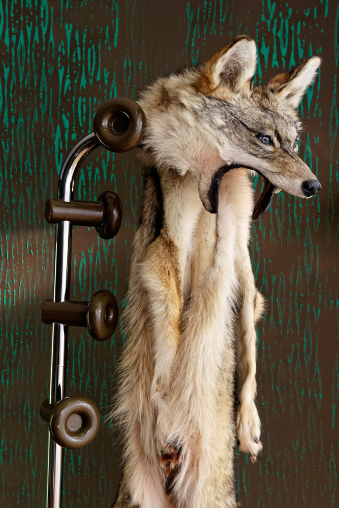 Virginie Yassef — Galerie Georges-Philippe & Nathalie Vallois