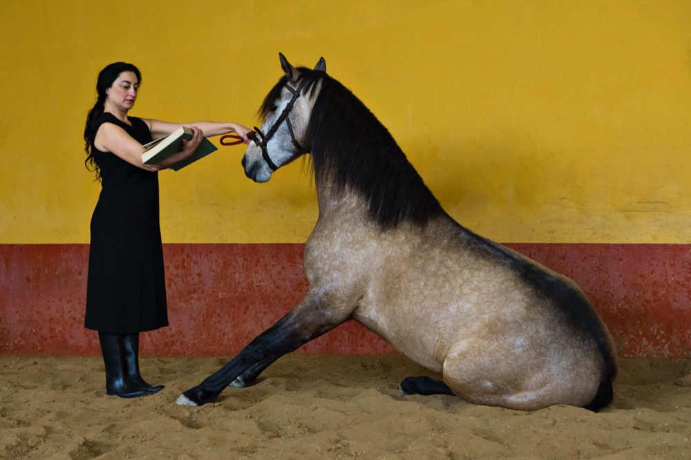 Pilar Albarracín — Galerie Georges-Philippe & Nathalie Vallois