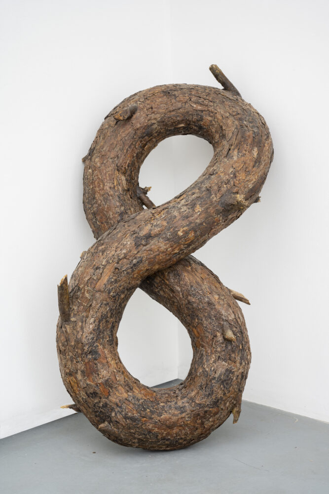 Henrique Oliveira — Galerie Georges-Philippe & Nathalie Vallois