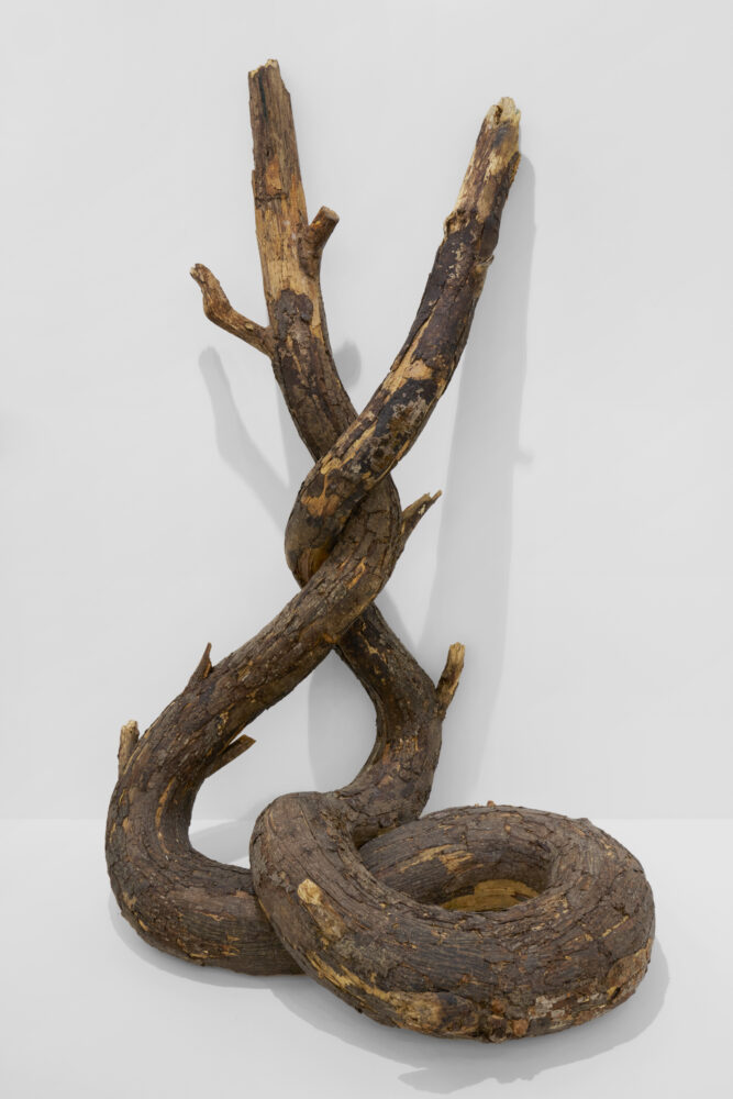 Henrique Oliveira — Galerie Georges-Philippe & Nathalie Vallois