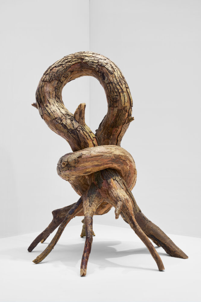 Henrique Oliveira — Galerie Georges-Philippe & Nathalie Vallois