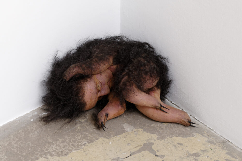 Peybak — Galerie Georges-Philippe & Nathalie Vallois