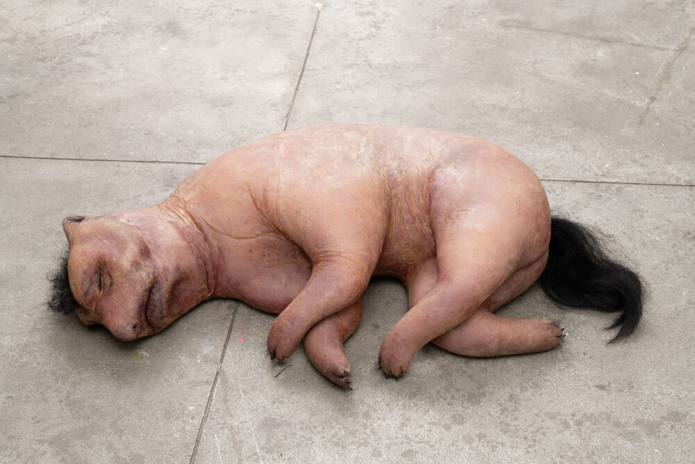 Peybak — Galerie Georges-Philippe & Nathalie Vallois