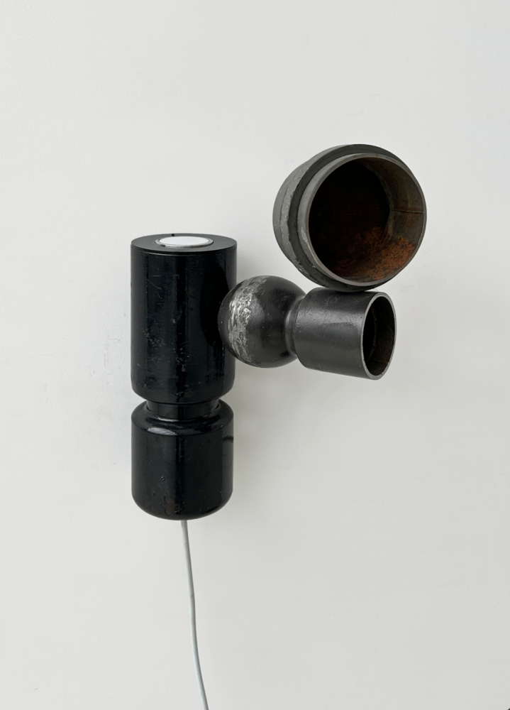 Julien Berthier — Galerie Georges-Philippe & Nathalie Vallois