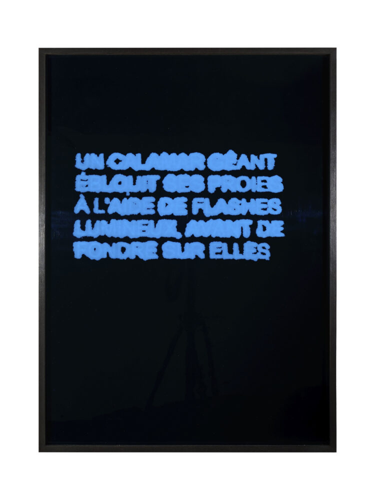 Virginie Yassef — Galerie Georges-Philippe & Nathalie Vallois