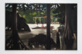 I was born to have Adventure - Galerie Georges-Philippe & Nathalie Vallois