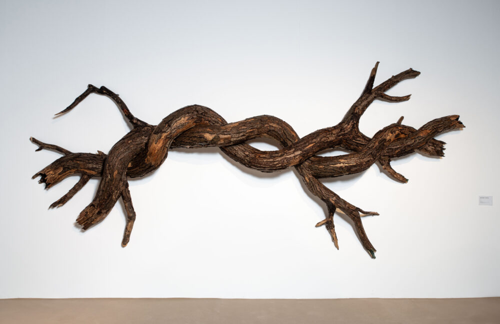 Henrique Oliveira — Galerie Georges-Philippe & Nathalie Vallois