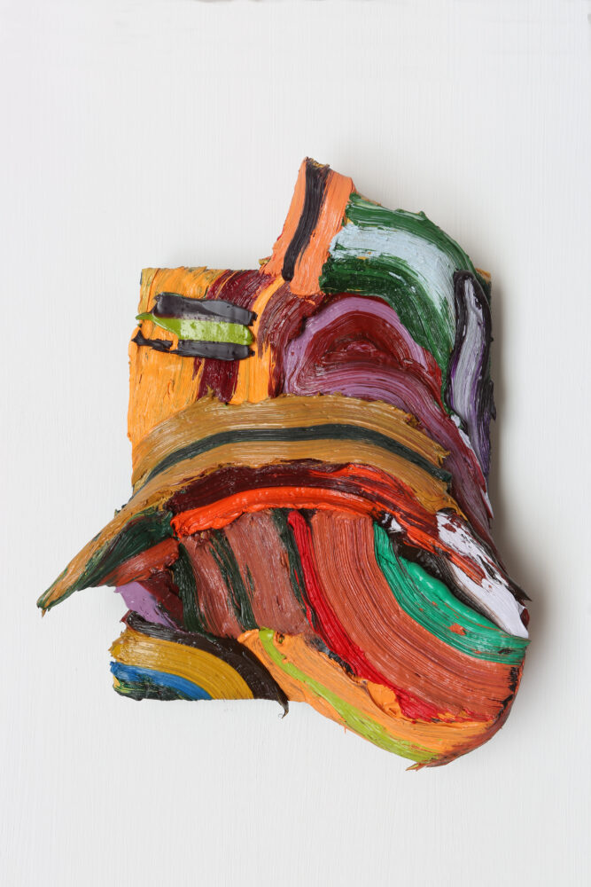 Henrique Oliveira — Galerie Georges-Philippe & Nathalie Vallois