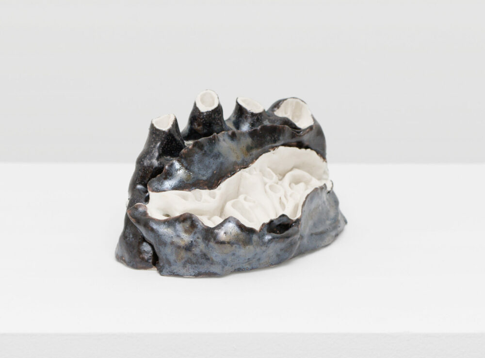 Lucie Picandet — Galerie Georges-Philippe & Nathalie Vallois