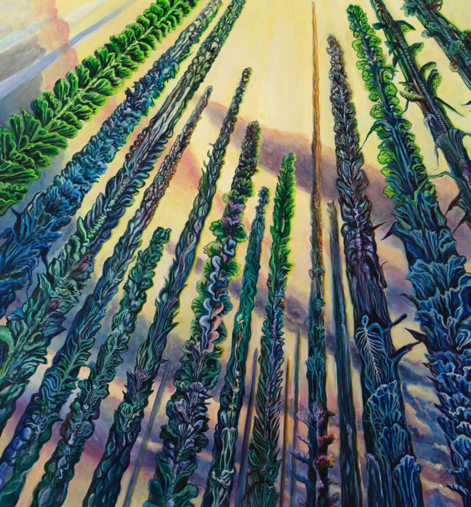 Lucie Picandet — Galerie Georges-Philippe & Nathalie Vallois