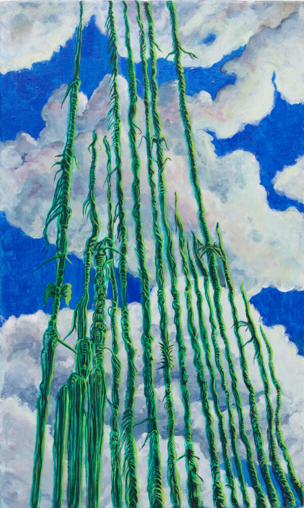 Lucie Picandet — Galerie Georges-Philippe & Nathalie Vallois