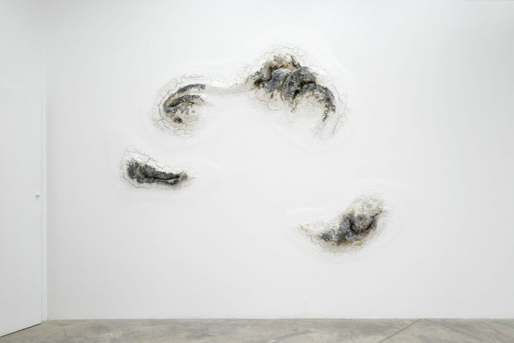 Henrique Oliveira — Galerie Georges-Philippe & Nathalie Vallois
