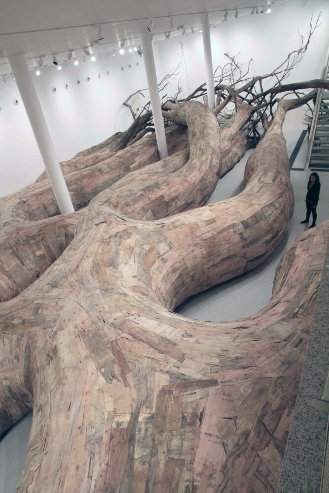 Henrique Oliveira — Galerie Georges-Philippe & Nathalie Vallois