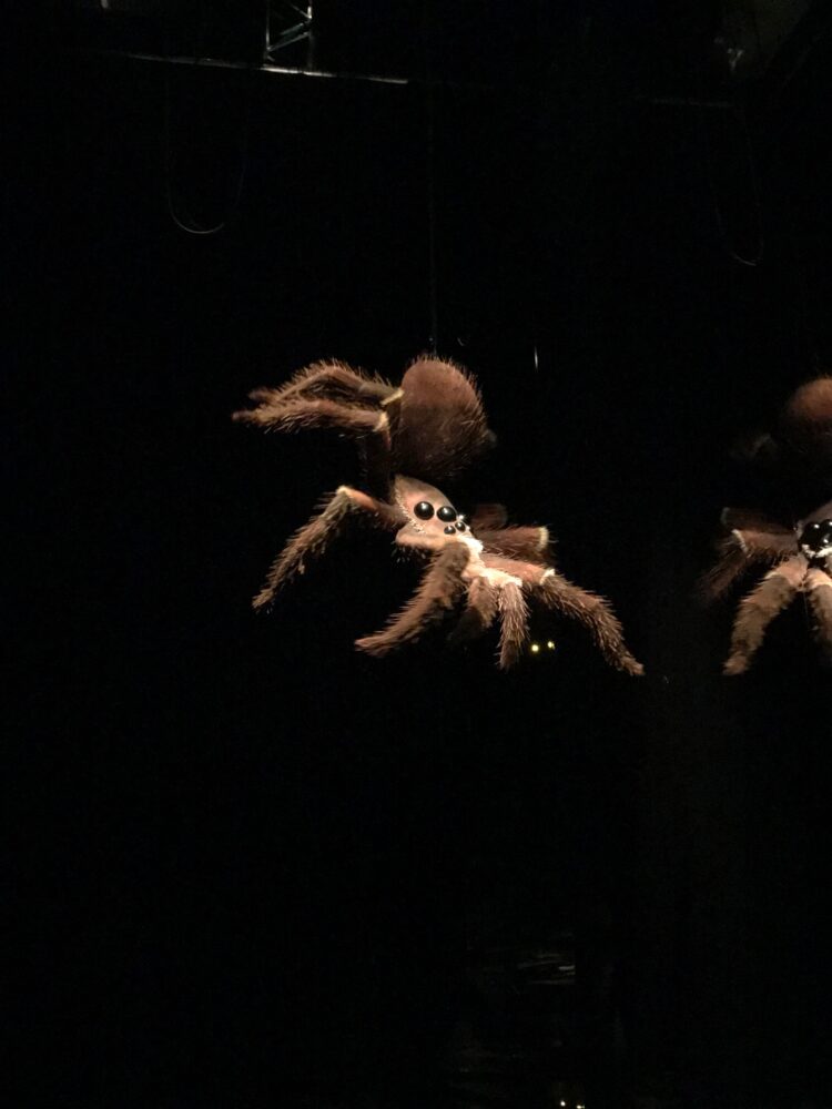 Virginie Yassef — Galerie Georges-Philippe & Nathalie Vallois