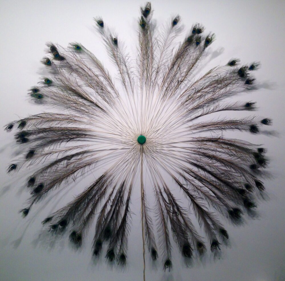 Virginie Yassef — Galerie Georges-Philippe & Nathalie Vallois