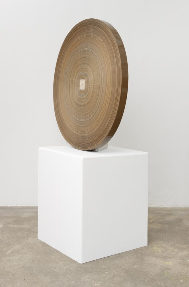 Julien Berthier — Galerie Georges-Philippe & Nathalie Vallois