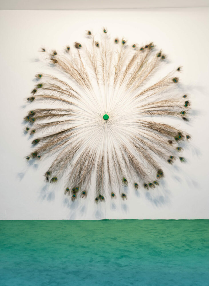 Virginie Yassef — Galerie Georges-Philippe & Nathalie Vallois