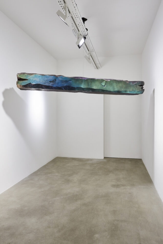 Virginie Yassef — Galerie Georges-Philippe & Nathalie Vallois