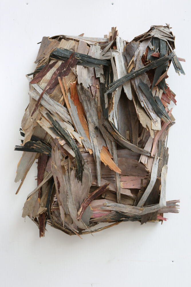 Henrique Oliveira — Galerie Georges-Philippe & Nathalie Vallois