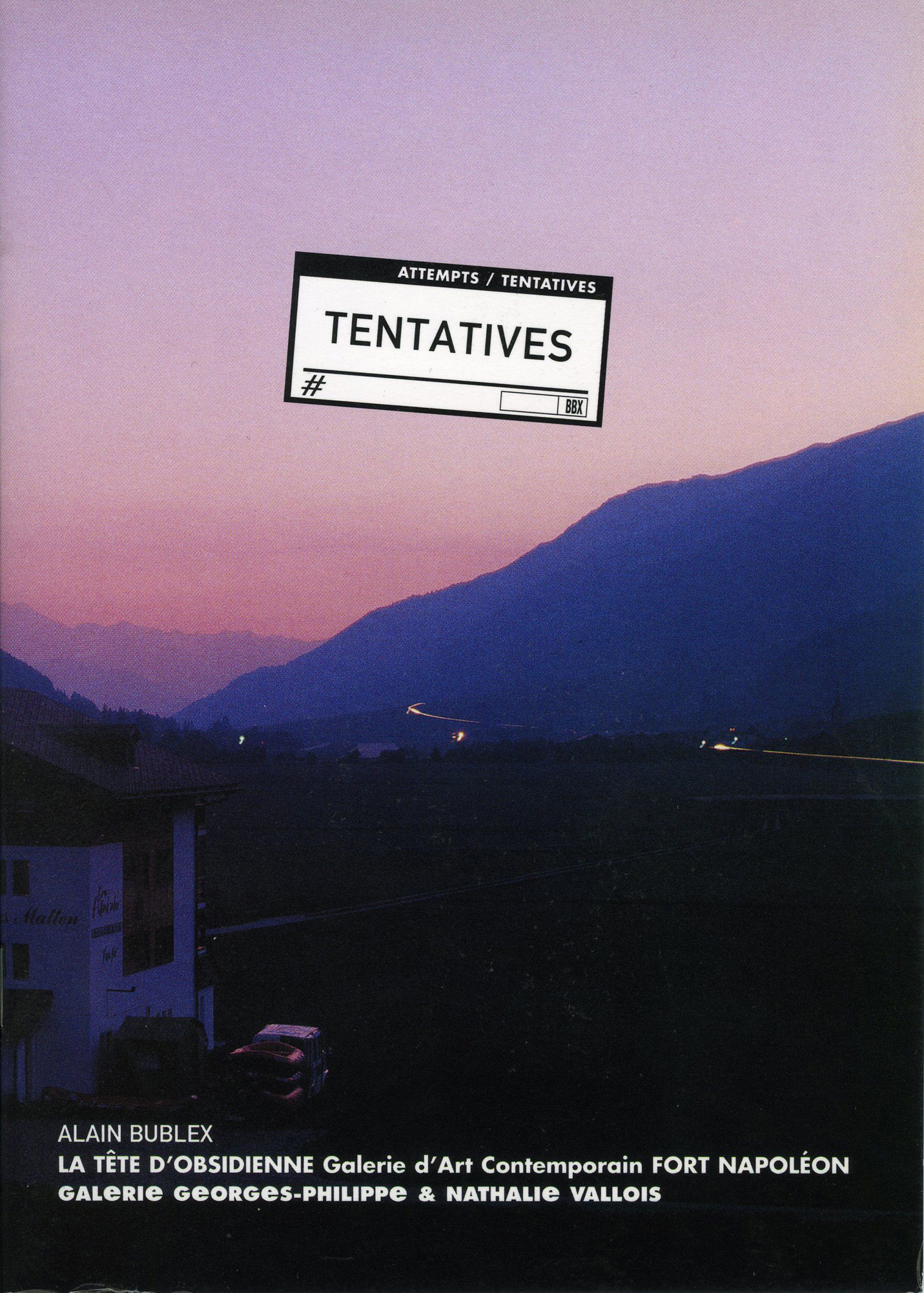 Attempts / Tentatives - Galerie Georges-Philippe & Nathalie Vallois