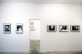 Fat Iggy: Discography - Galerie Georges-Philippe & Nathalie Vallois