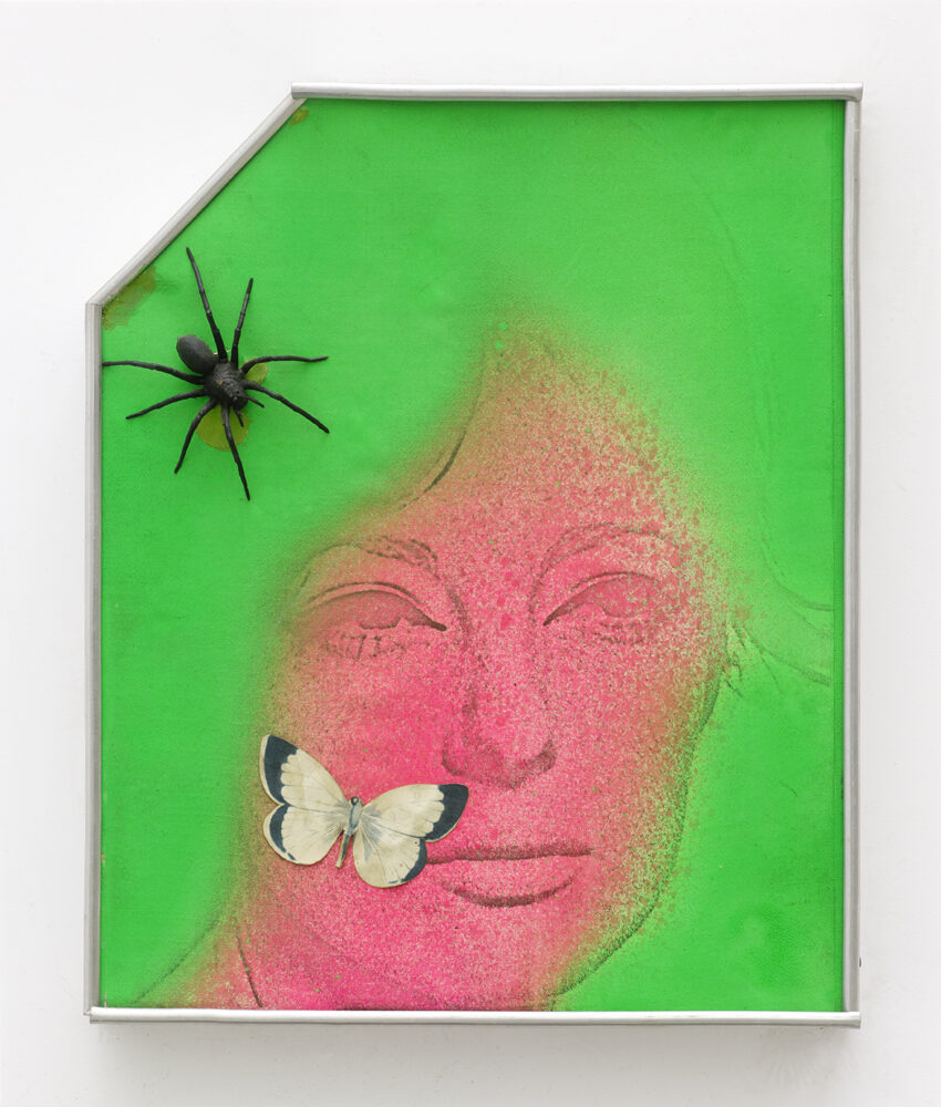 Martial Raysse — Galerie Georges-Philippe & Nathalie Vallois