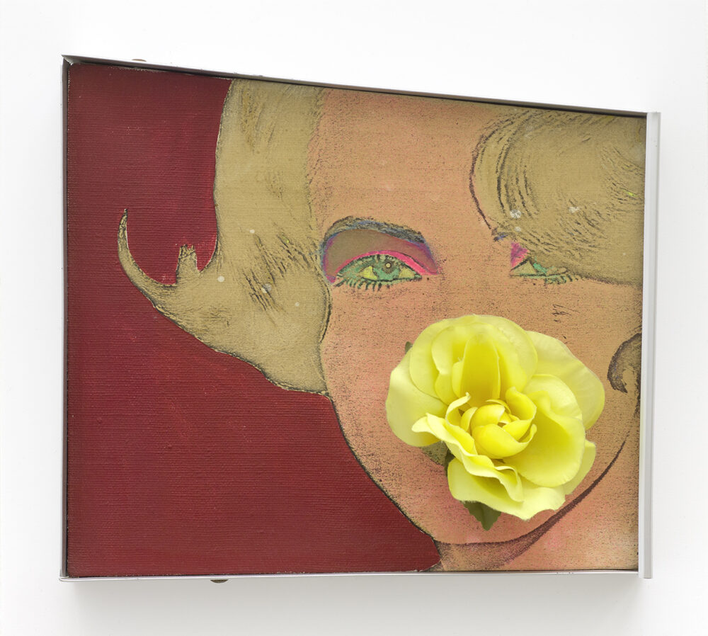 Martial Raysse — Galerie Georges-Philippe & Nathalie Vallois