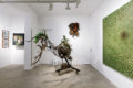 Jungle Fever - Galerie Georges-Philippe & Nathalie Vallois