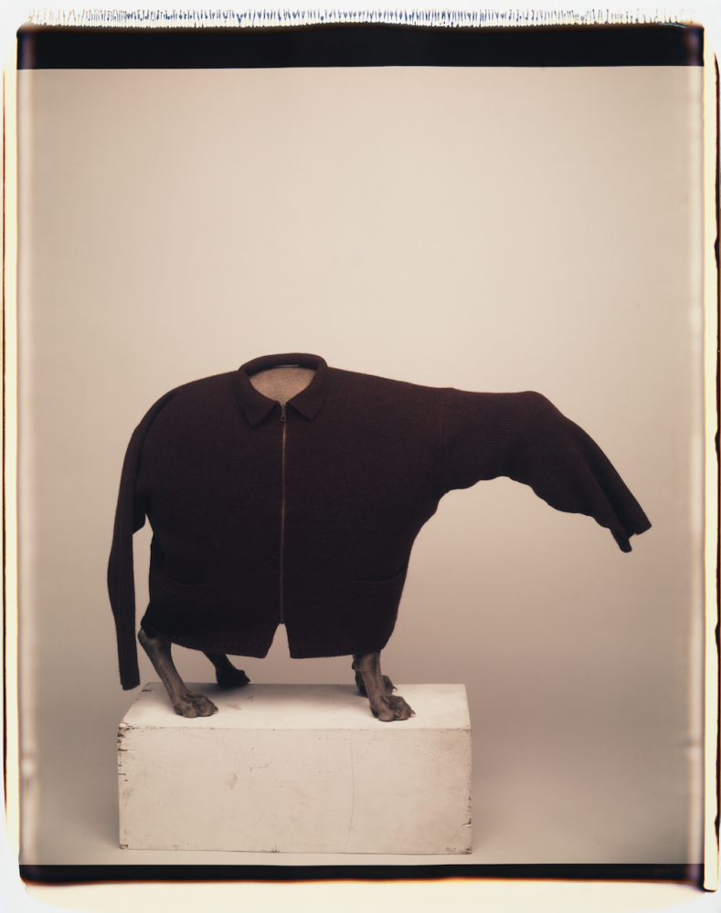 Paris Photo 2024 — Galerie Georges-Philippe & Nathalie Vallois
