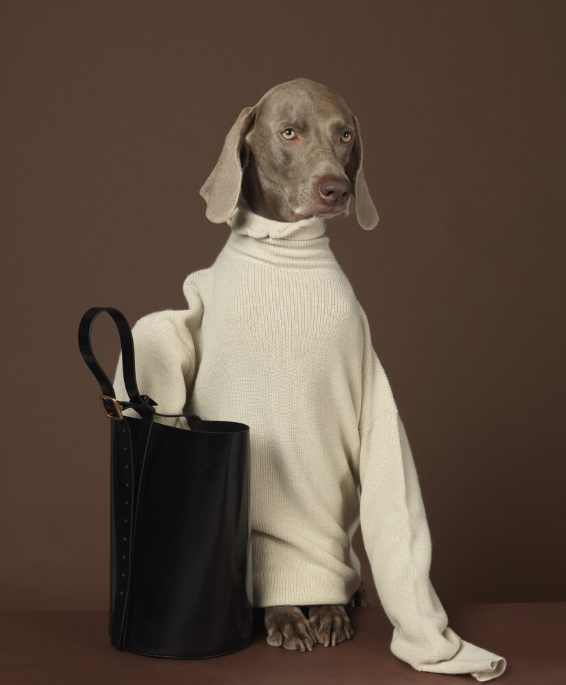 William Wegman — Galerie Georges-Philippe & Nathalie Vallois