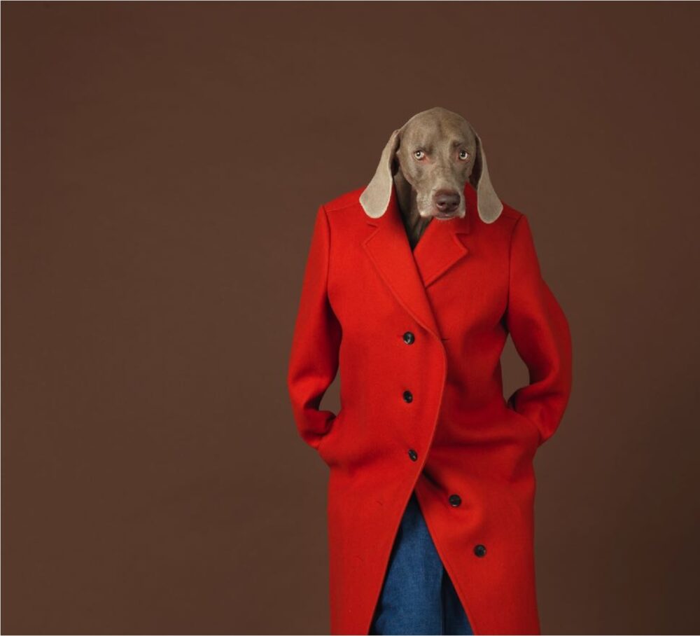 William Wegman — Galerie Georges-Philippe & Nathalie Vallois