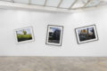 Landscaping 풍경조망중 - Galerie Georges-Philippe & Nathalie Vallois