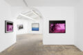 Landscaping 풍경조망중 - Galerie Georges-Philippe & Nathalie Vallois