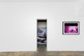 Landscaping 풍경조망중 - Galerie Georges-Philippe & Nathalie Vallois