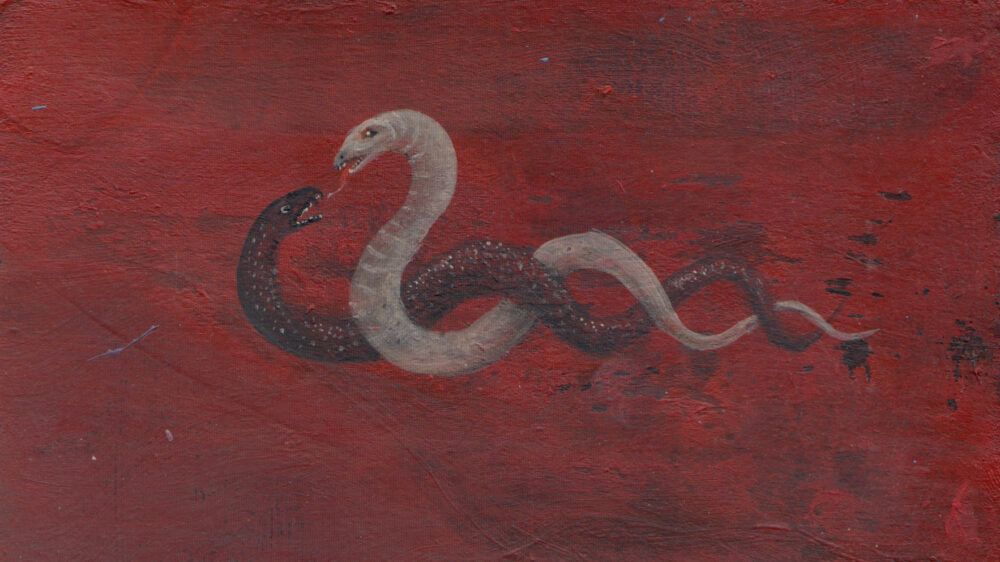 Abrakan Collapse - AWARE