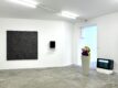 Conversation Pieces - Galerie Georges-Philippe & Nathalie Vallois