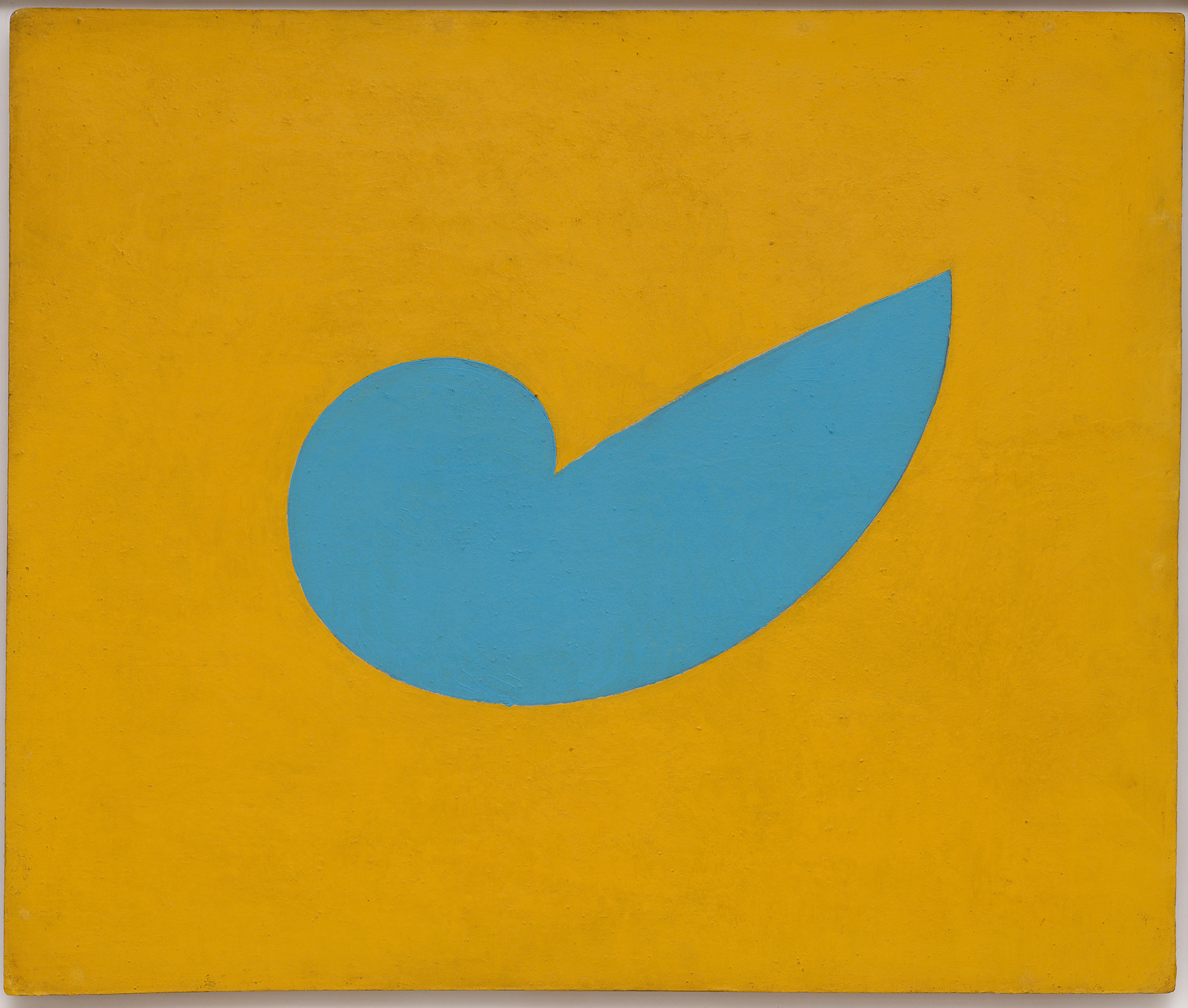 Focus #3 – Emanuel Proweller - AWARE