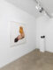 Trafic – Tribute to Peter Stämpfli - Galerie Georges-Philippe & Nathalie Vallois